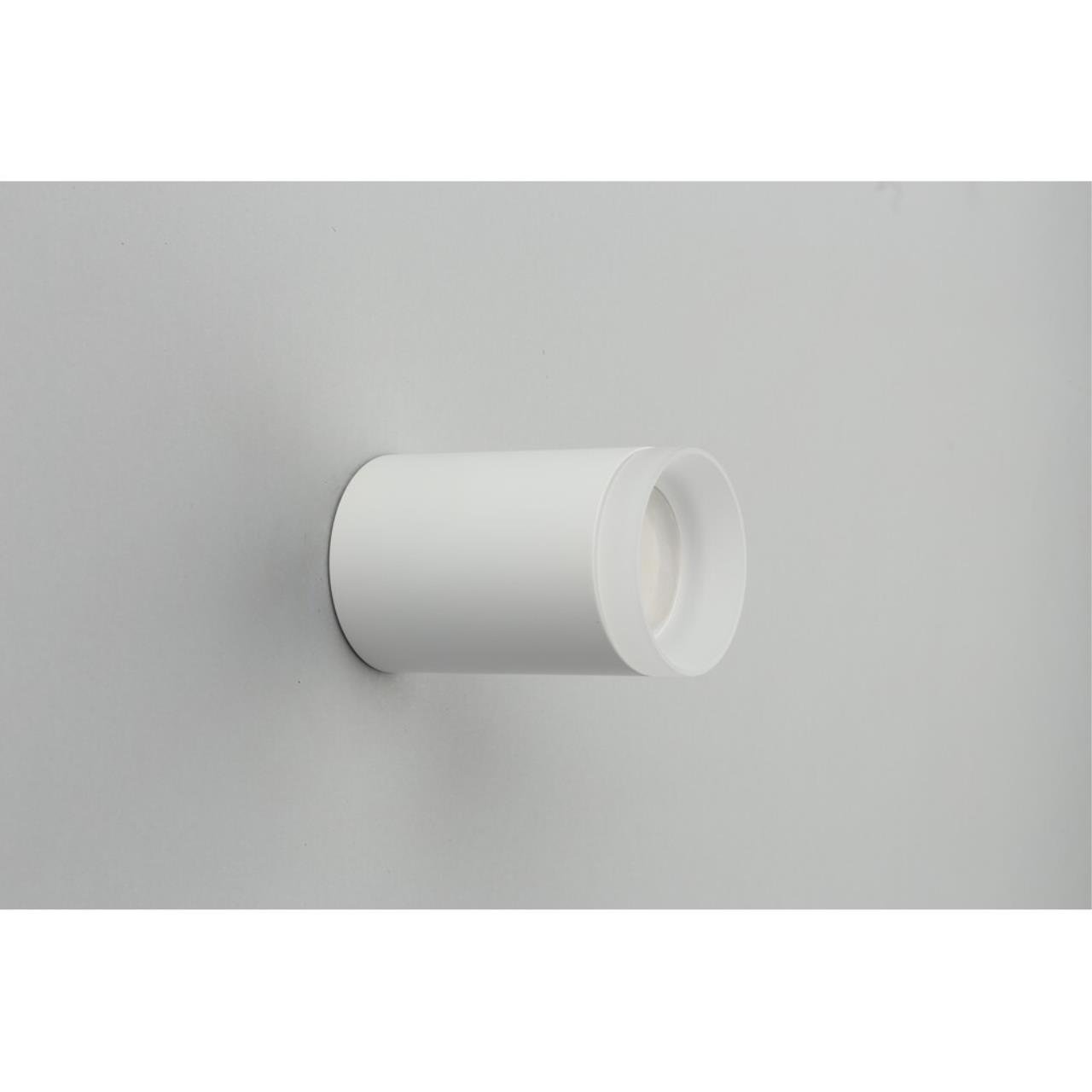 OML-100709-01 Накладной светильник Omnilux Rotondo OML-100709-01