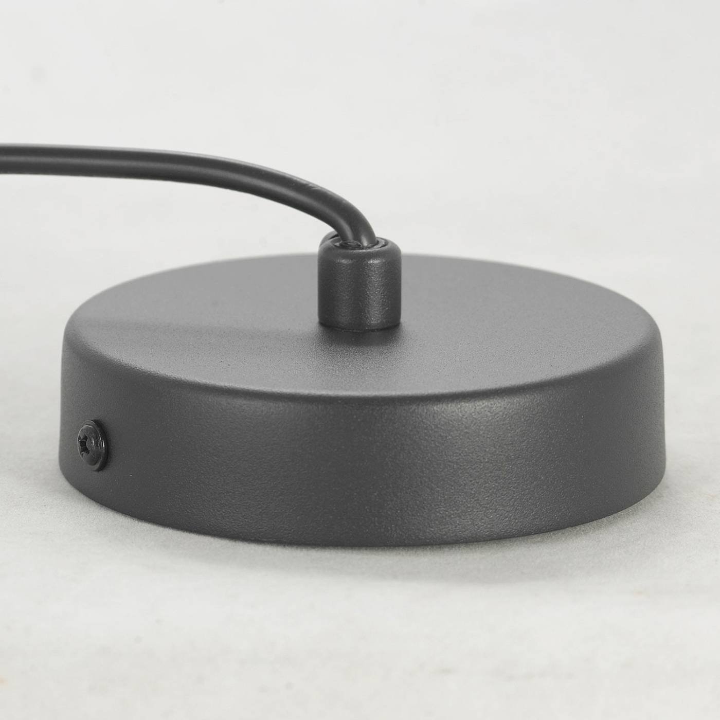 LSP-8489 Светильник подвесной Lussole LOFT LSP-8489