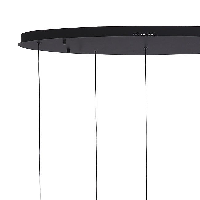 Светильник подвесной Lumien Hall Danay LH8027/5P-BK-PBK