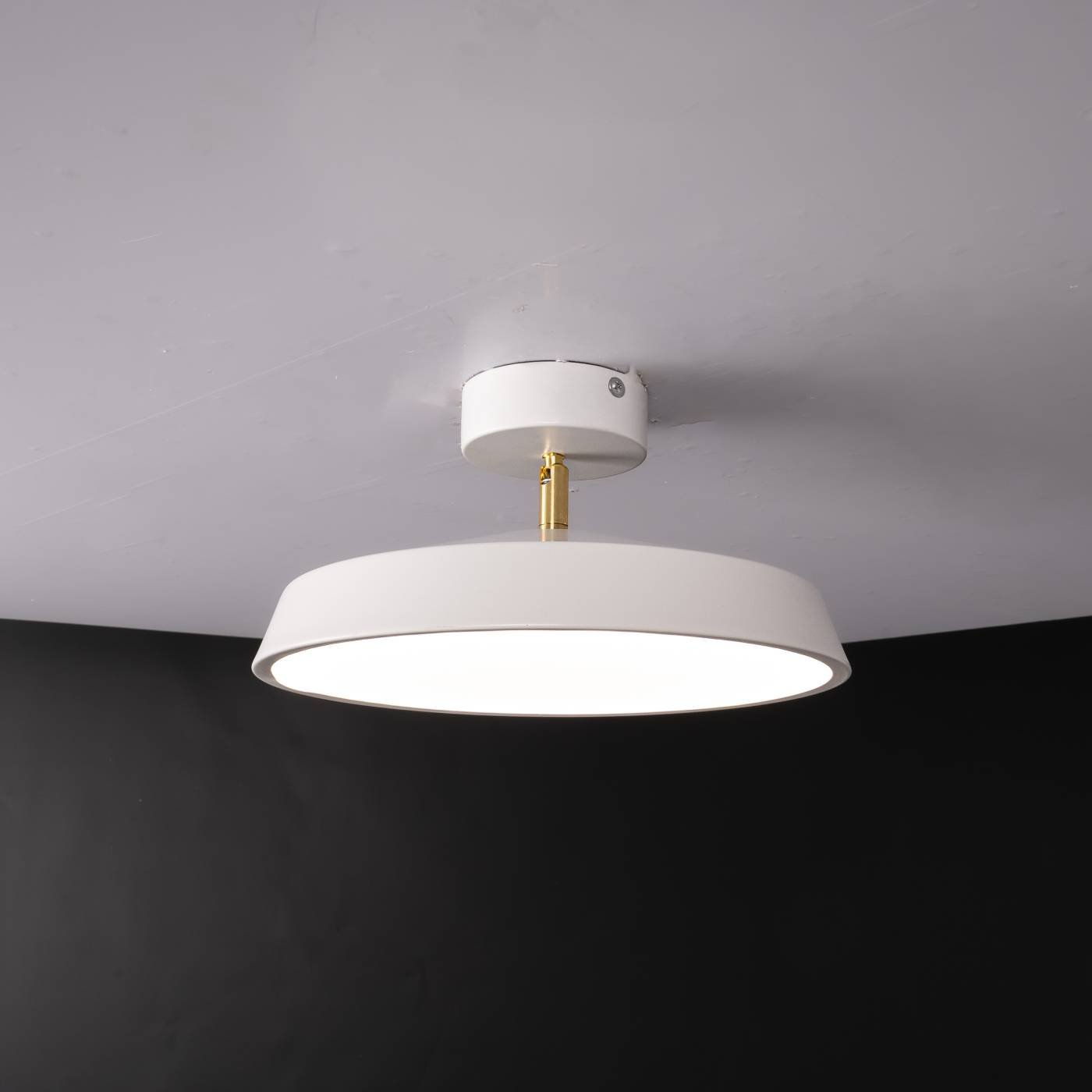 377315-23 Потолочный светильник ImperiumLoft 377315-23