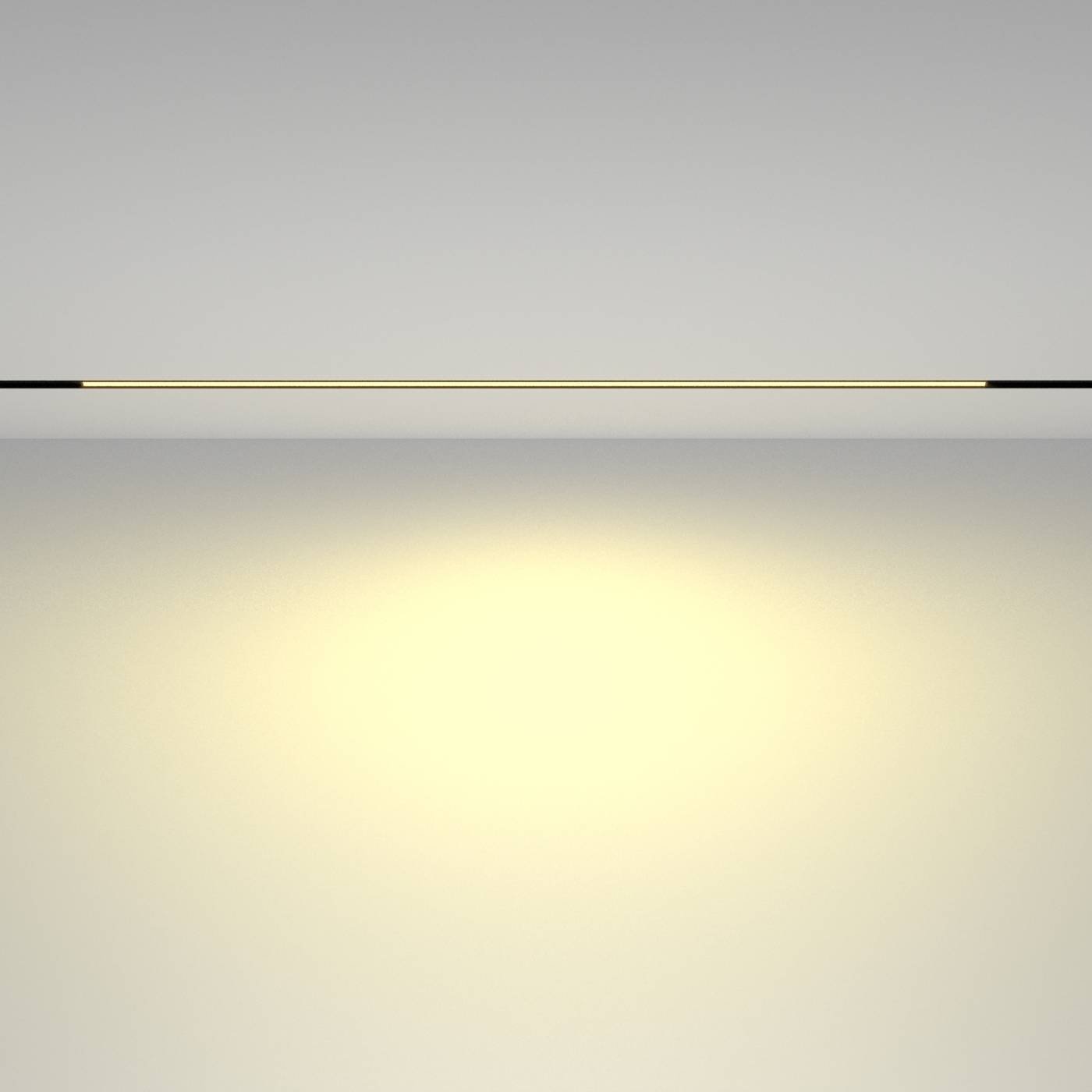 TR030-2-30W2.7K-B Трековый светильник Maytoni Basis TR030-2-30W2.7K-B