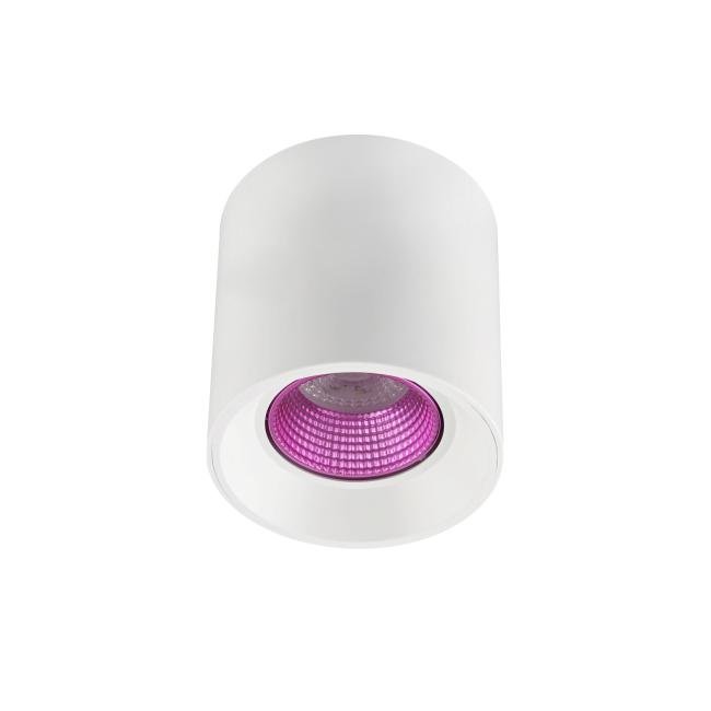 DK3090-WH+PI Накладной светильник Denkirs Dk3020Wpi DK3090-WH+PI
