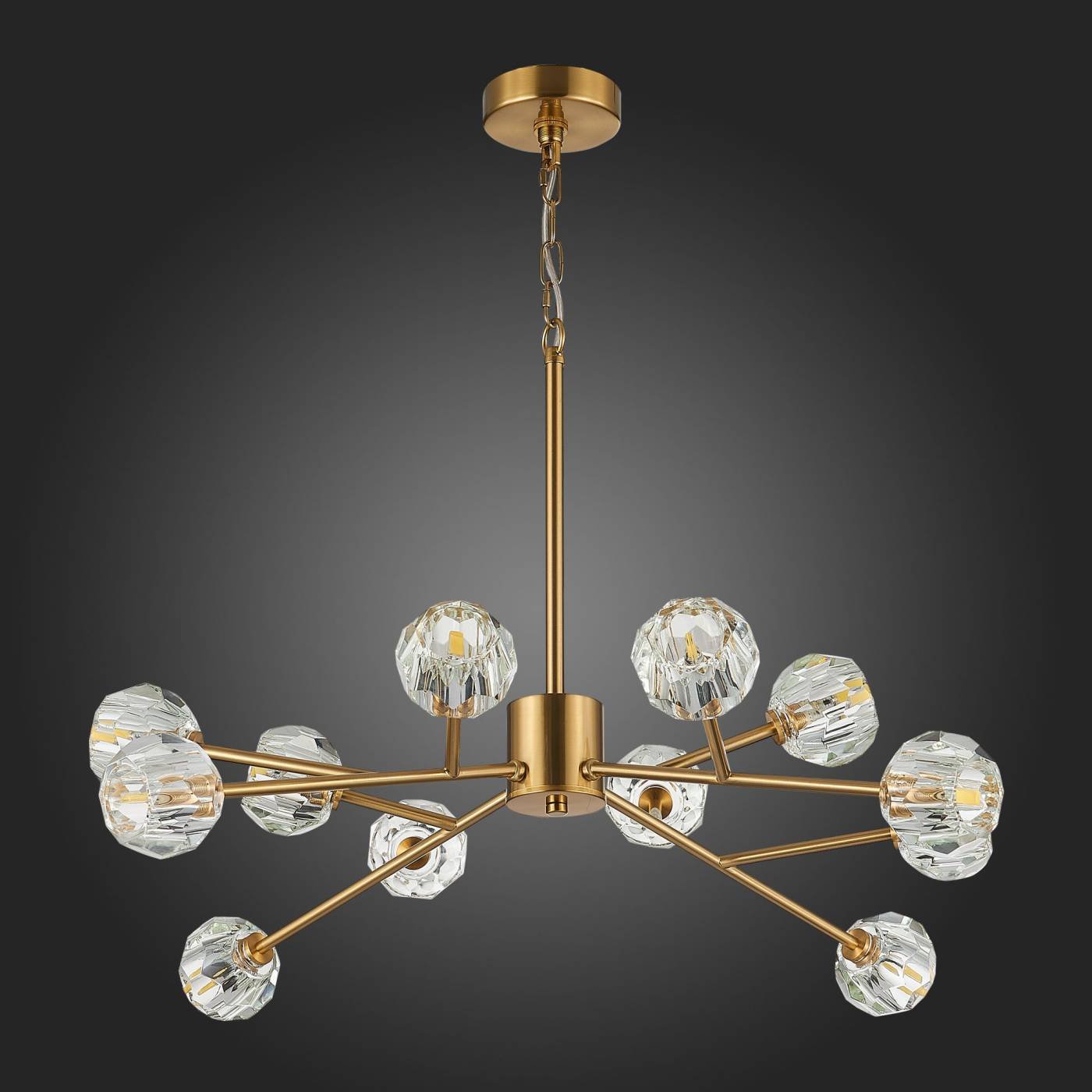 SL1166.303.12 Подвесная люстра ST Luce Romano SL1166.303.12