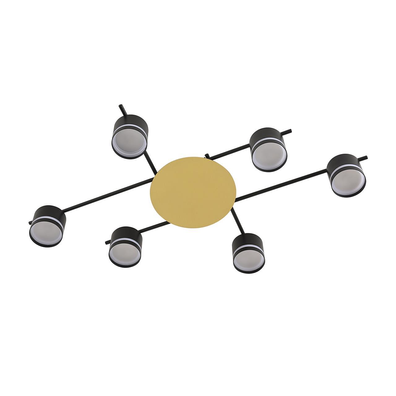 Потолочная люстра Lumion Benua 8304/6C
