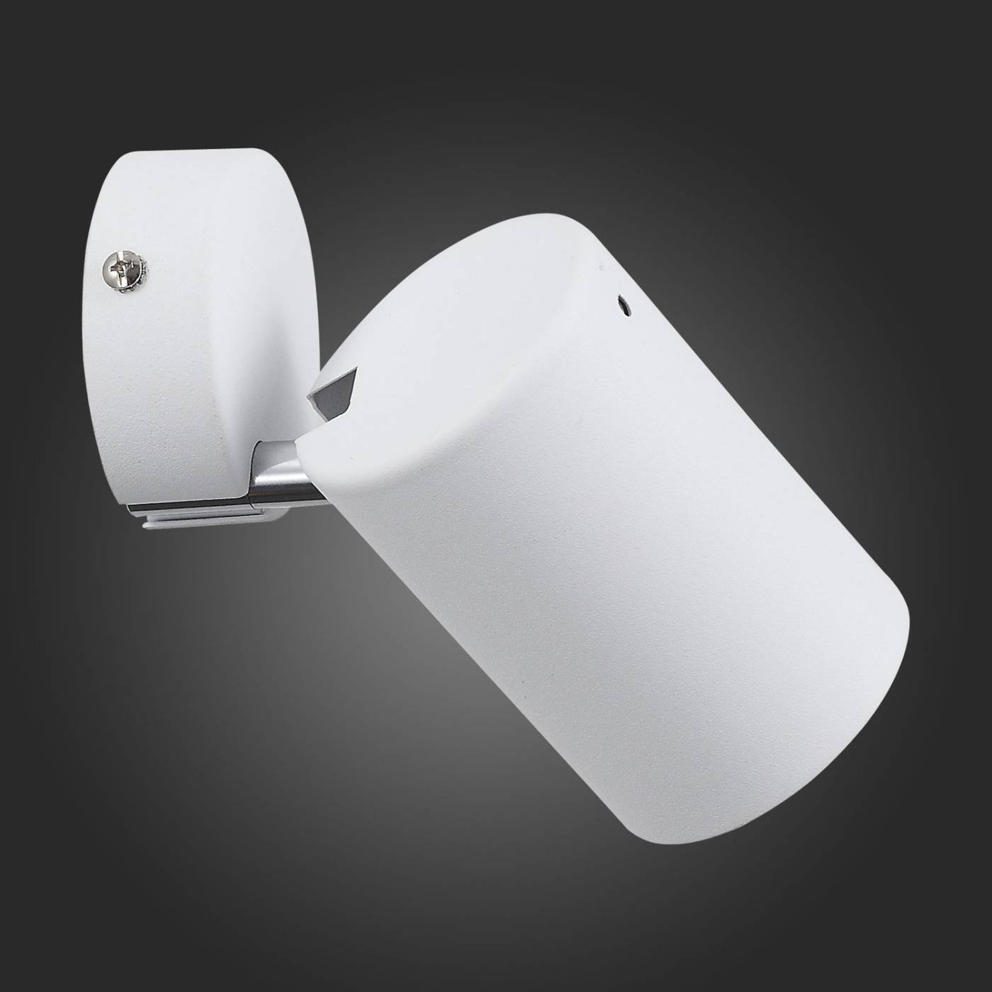 SL597.501.01 Светильник спот ST Luce Fanale SL597.501.01