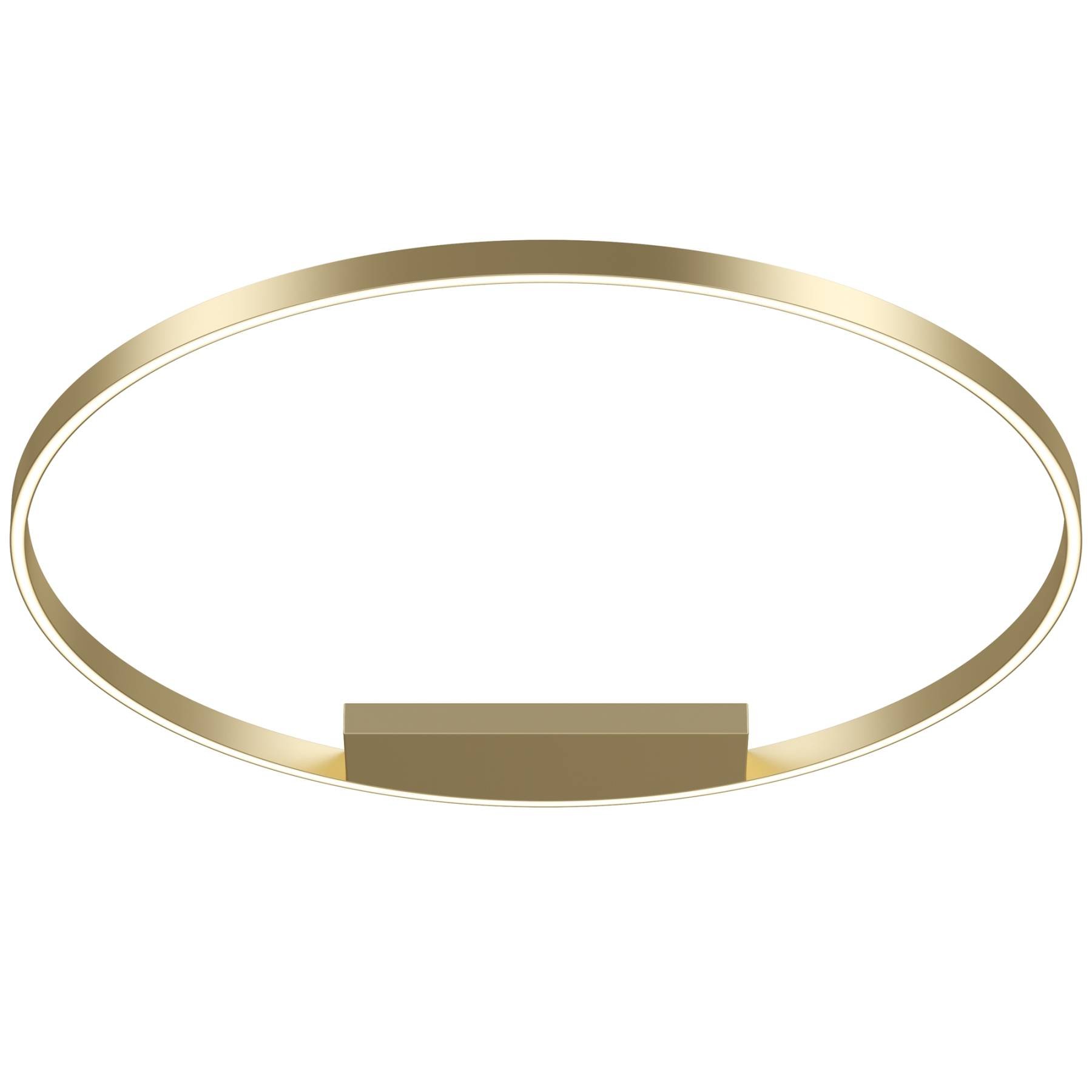 MOD058CL-L65BSK Светильник потолочный Maytoni Rim MOD058CL-L65BSK