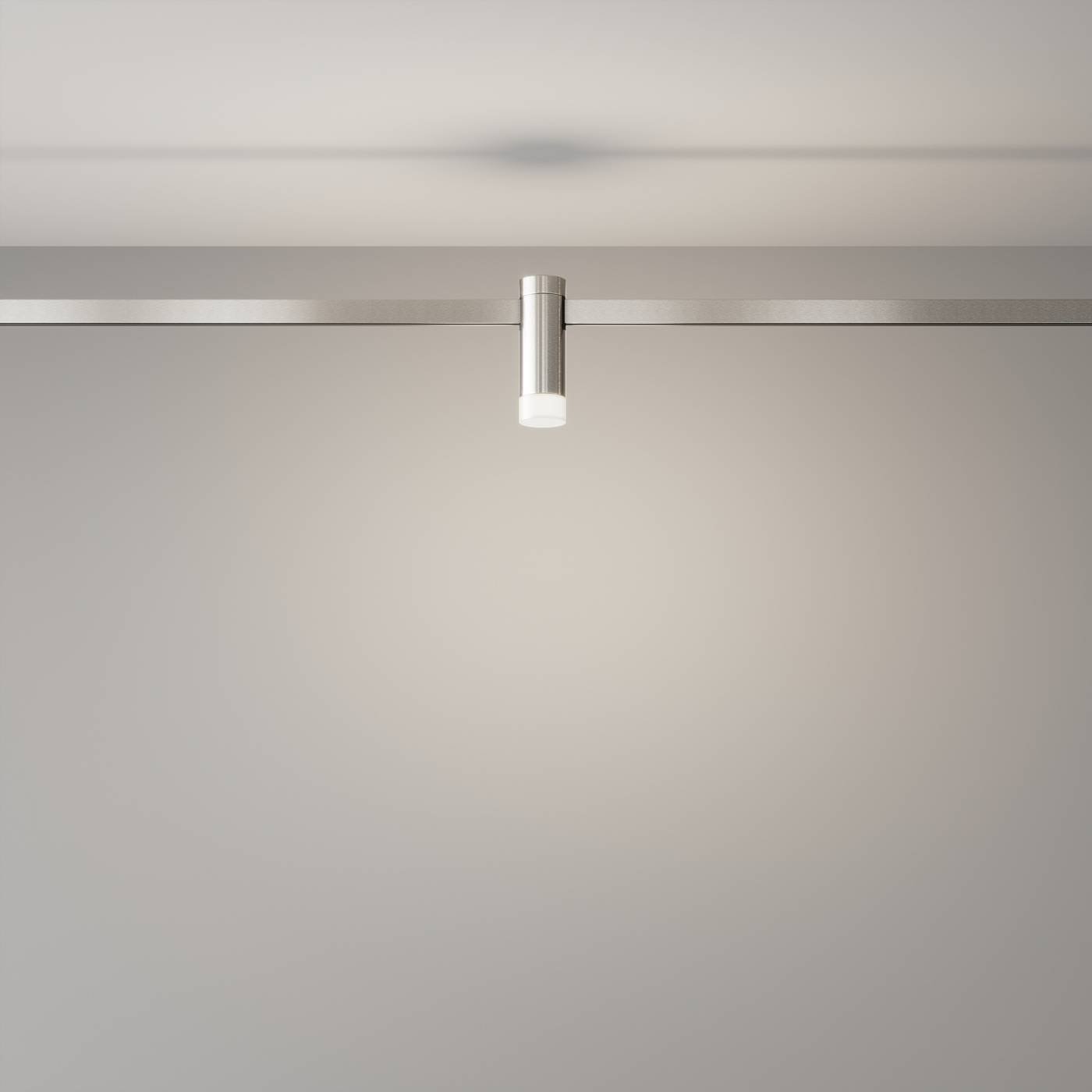 Трековый светильник Maytoni Skim TR145-1-3W4K-W-PT
