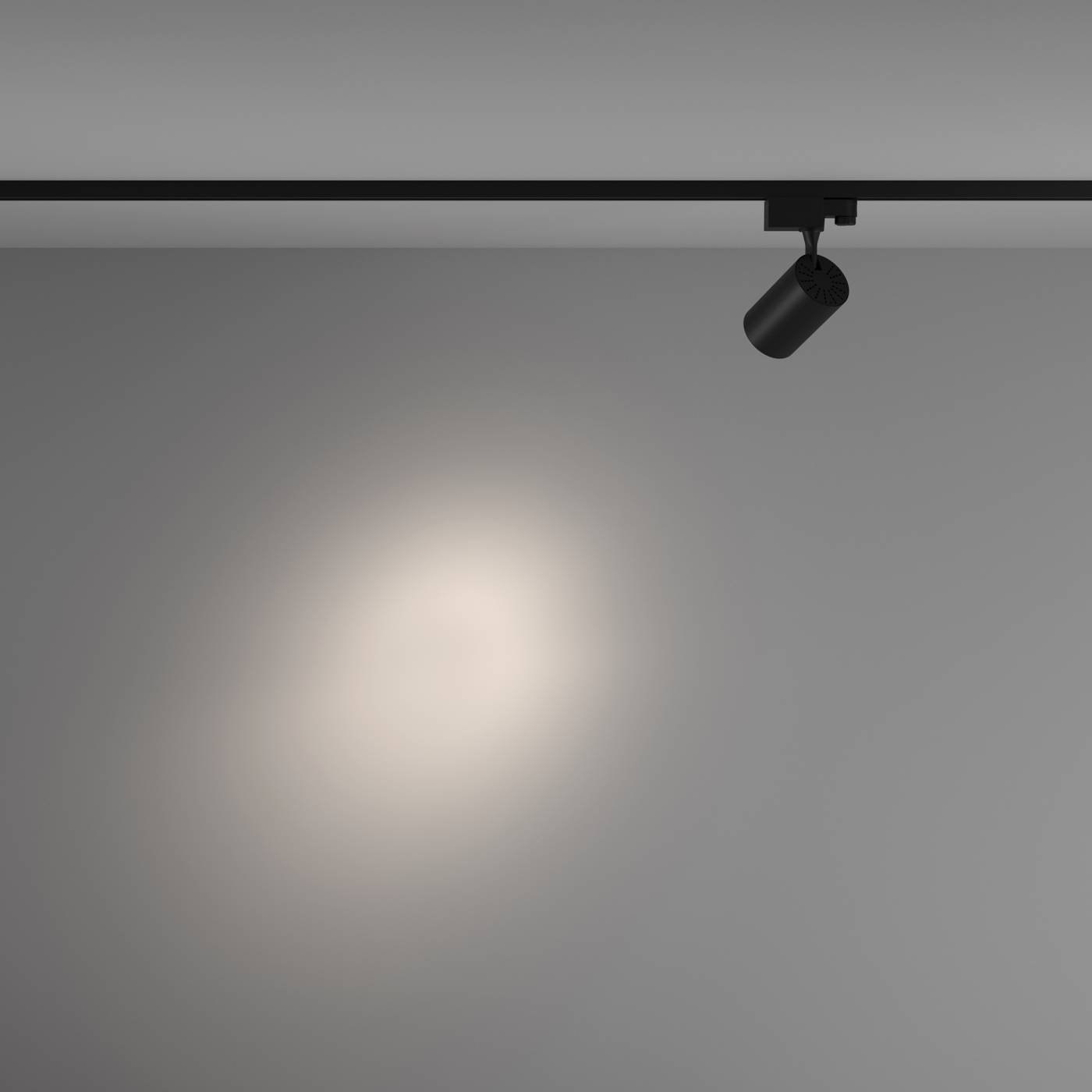 Трековый светильник Maytoni Vuoro Trinity TR029-3-10W4K-S-B