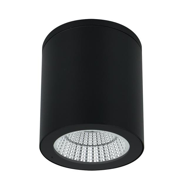 Уличный потолочный светильник Arte Lamp Torcular A1813PF-1BK