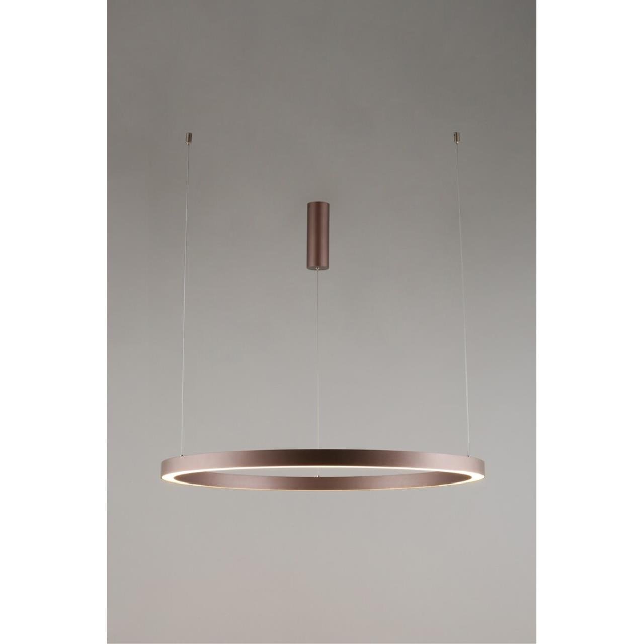 Подвесная люстра Aployt Nisia APL.025.03.60