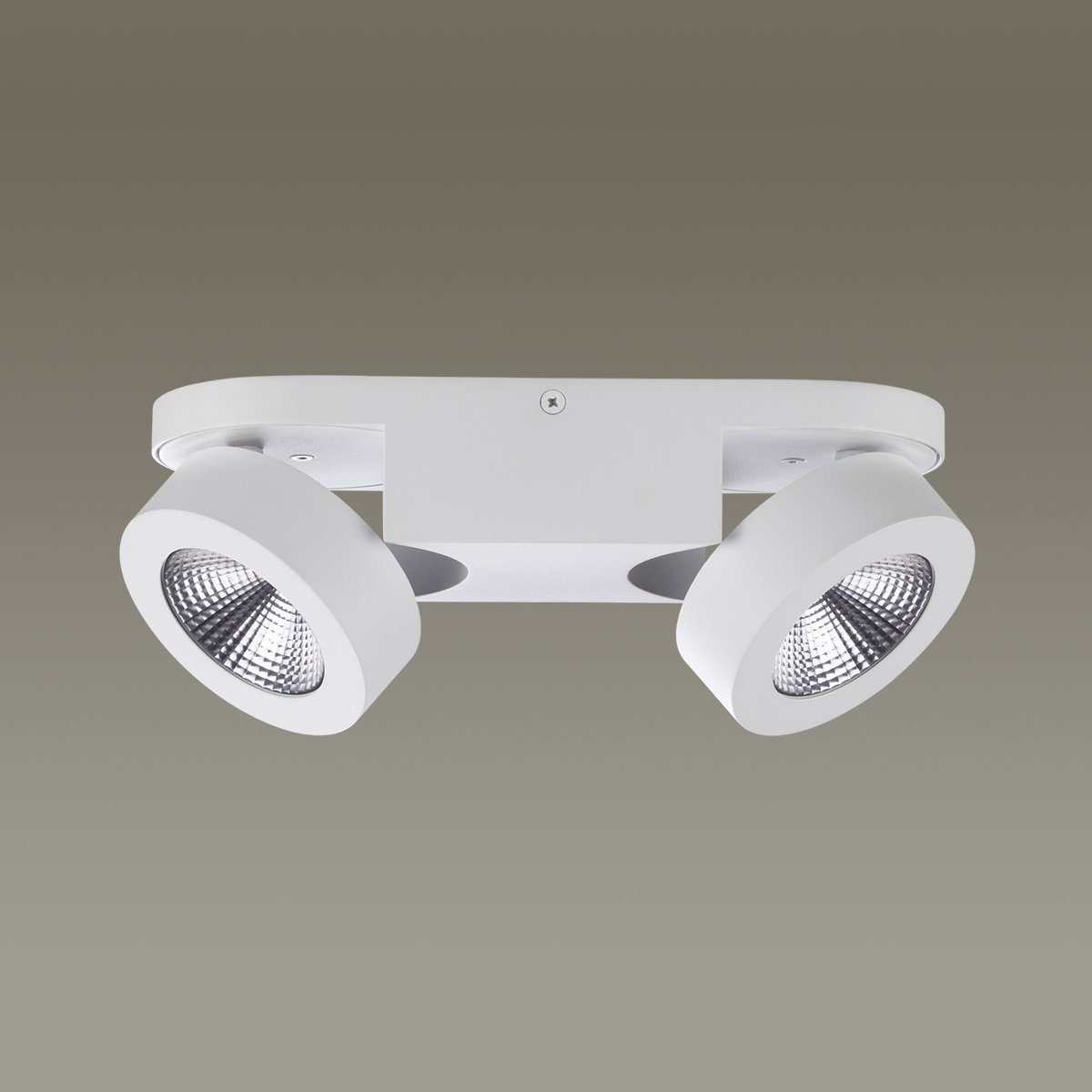 Светильник спот Odeon Light Laconis 3538/2WL