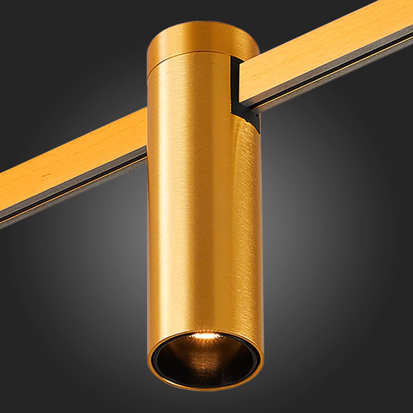 Трековый светильник ST Luce Farm ST810.206.05