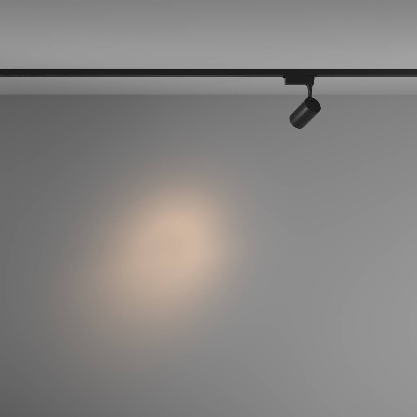 TR003-1-6W3K-S-B Трековый светильник Maytoni Vuoro TR003-1-6W3K-S-B