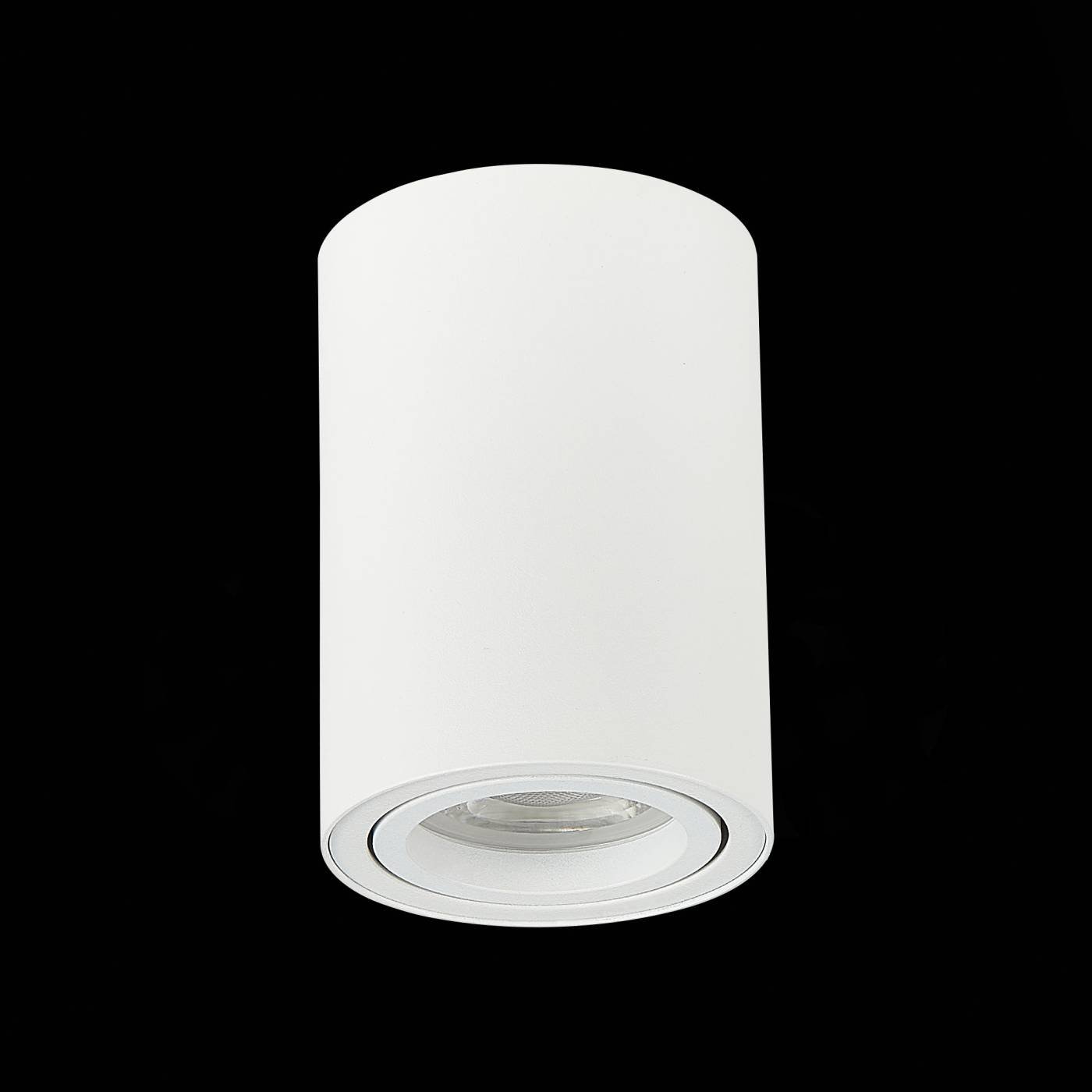 Накладной светильник ST Luce Torus ST108.507.01