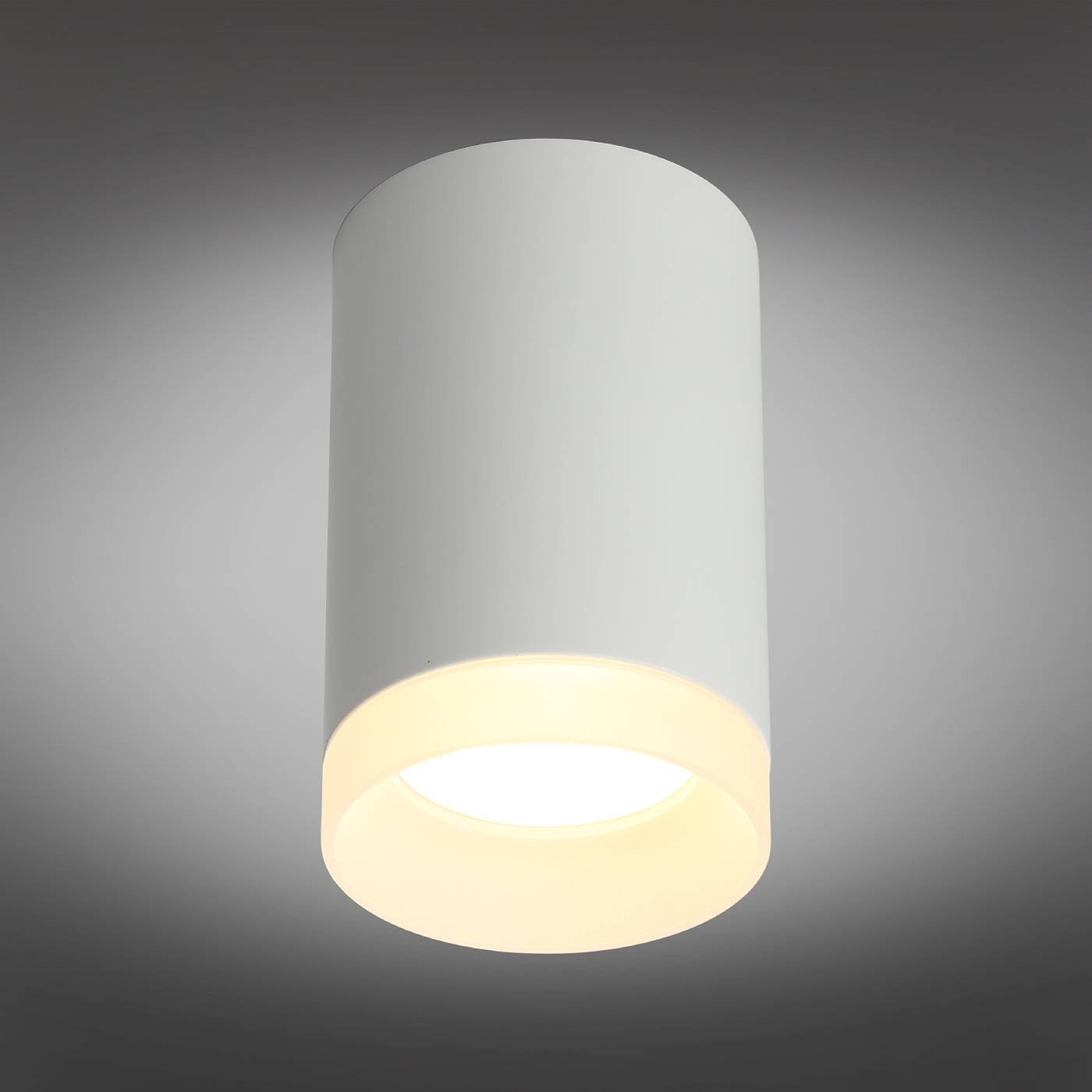 OML-100709-01 Накладной светильник Omnilux Rotondo OML-100709-01