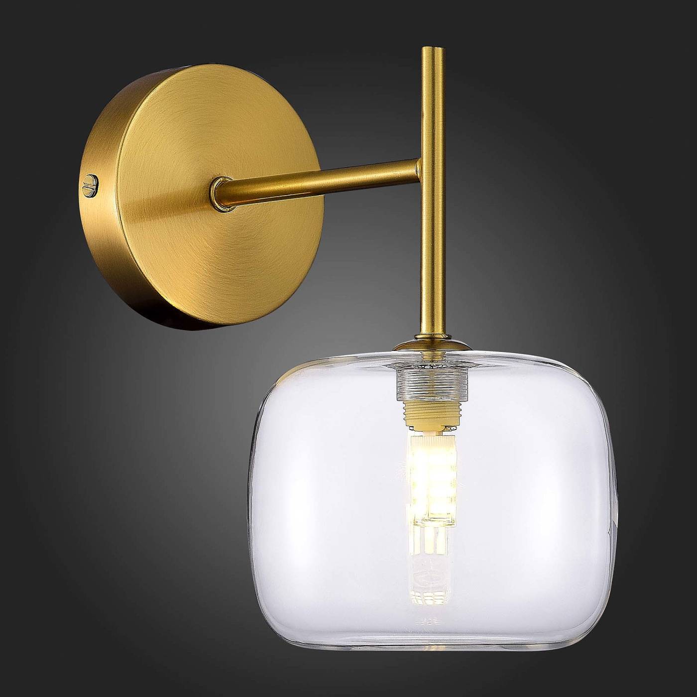 Настенное бра ST Luce Finn SL1049.301.01