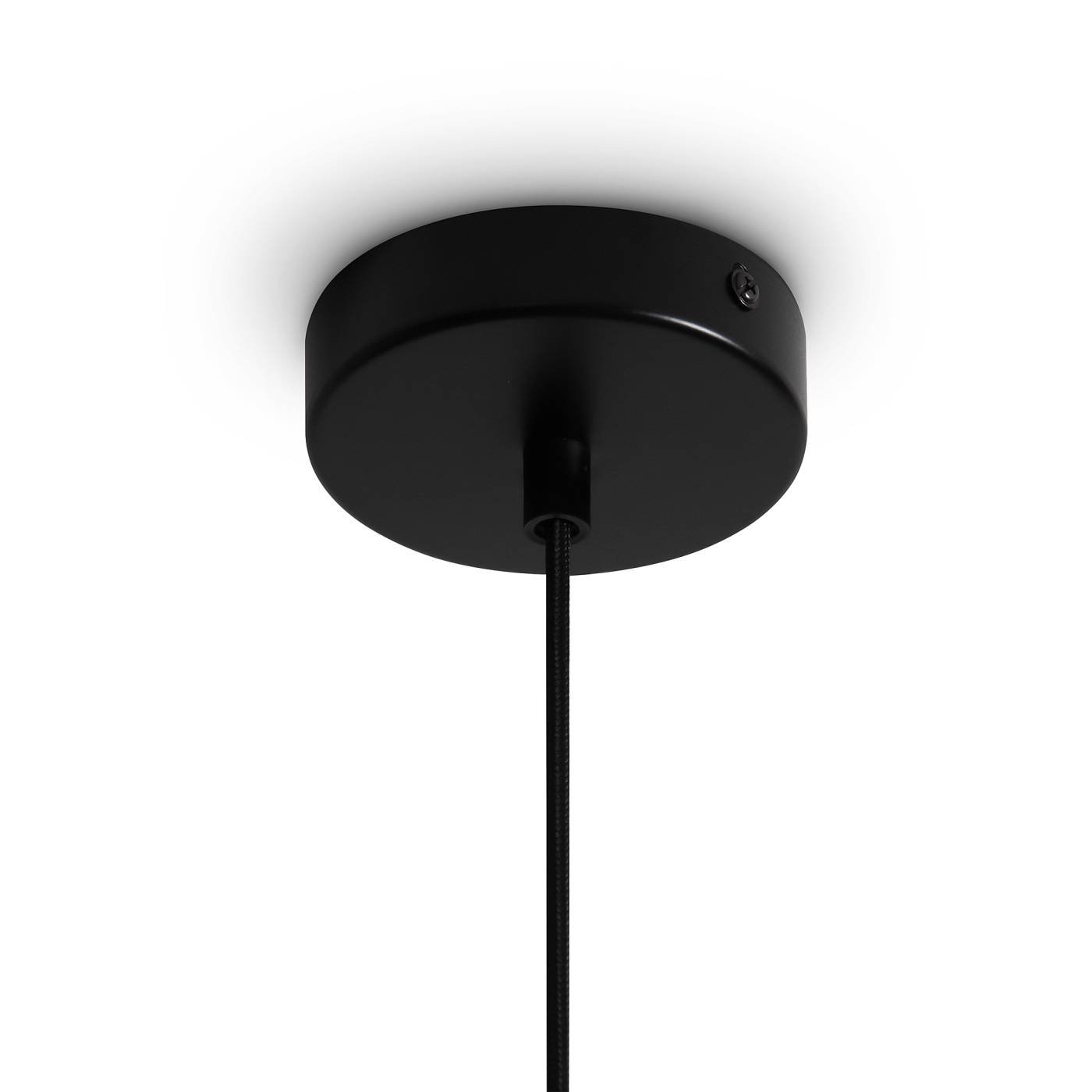 Светильник подвесной Freya Terra FR5582PL-01W