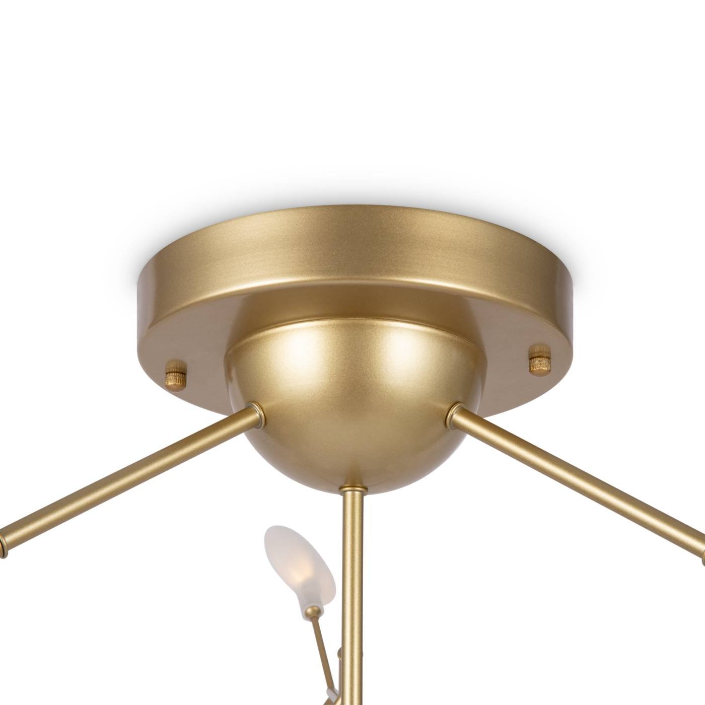 FR5049CL-36G Потолочная люстра Freya Florencia FR5049CL-36G