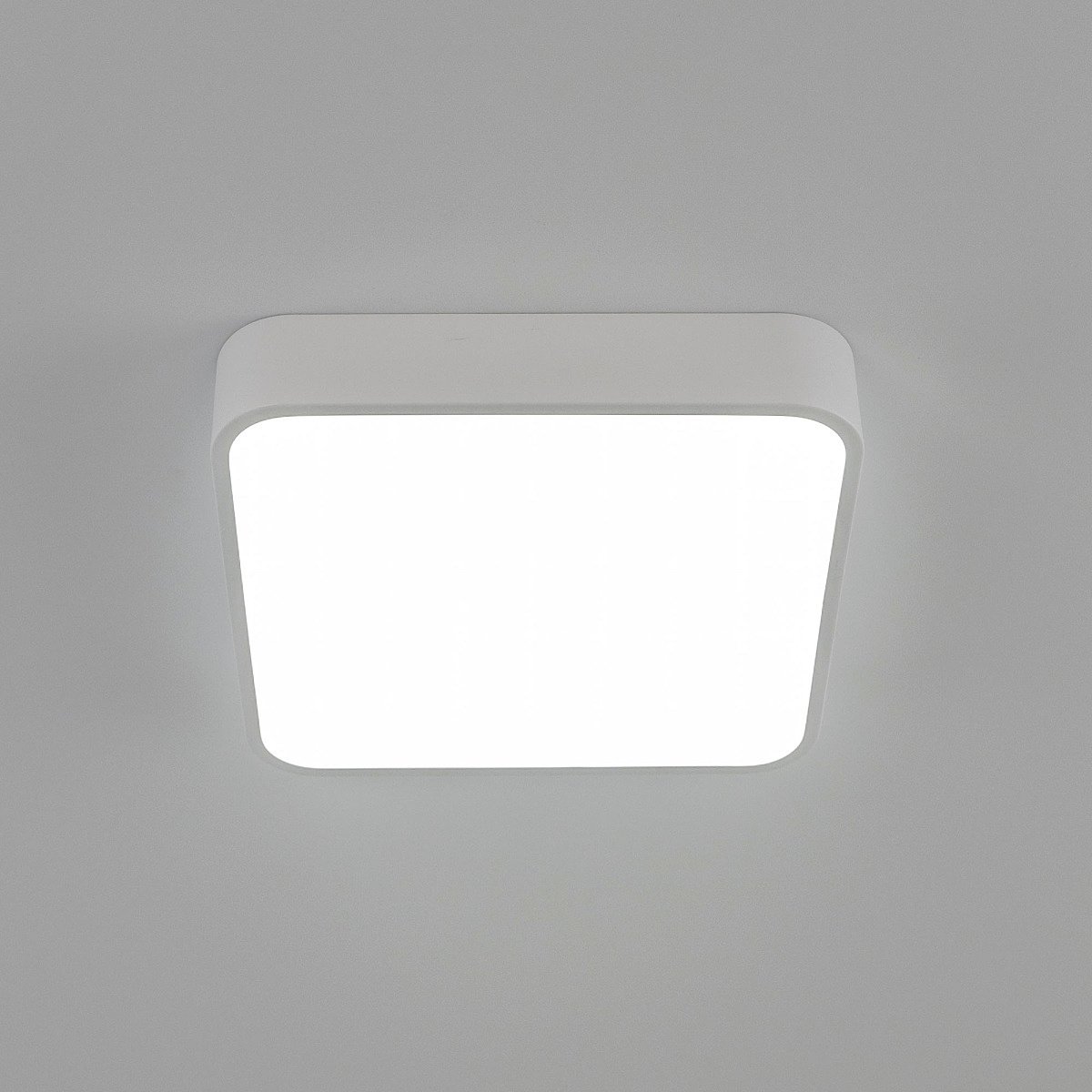 CL724K24V0 Светильник потолочный Citilux Купер CL724K24V0