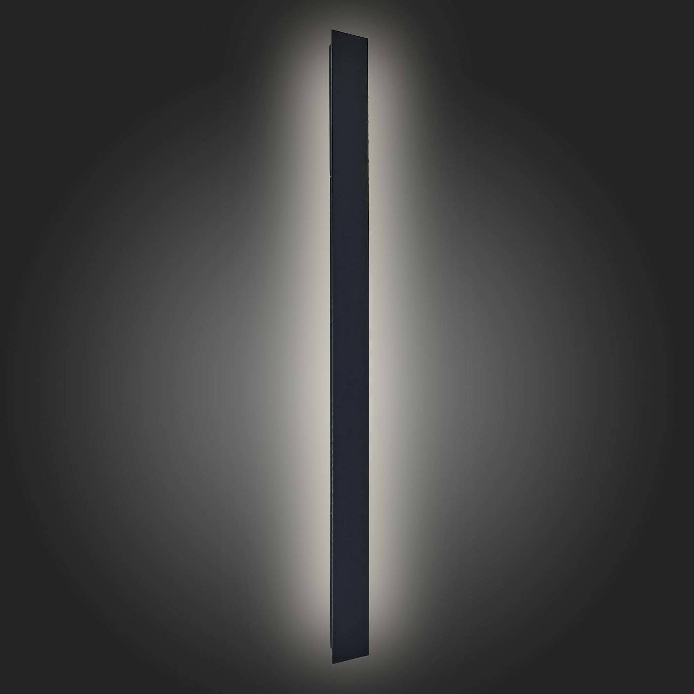 Уличный настенный светильник ST Luce Nuvola SL9511.421.01