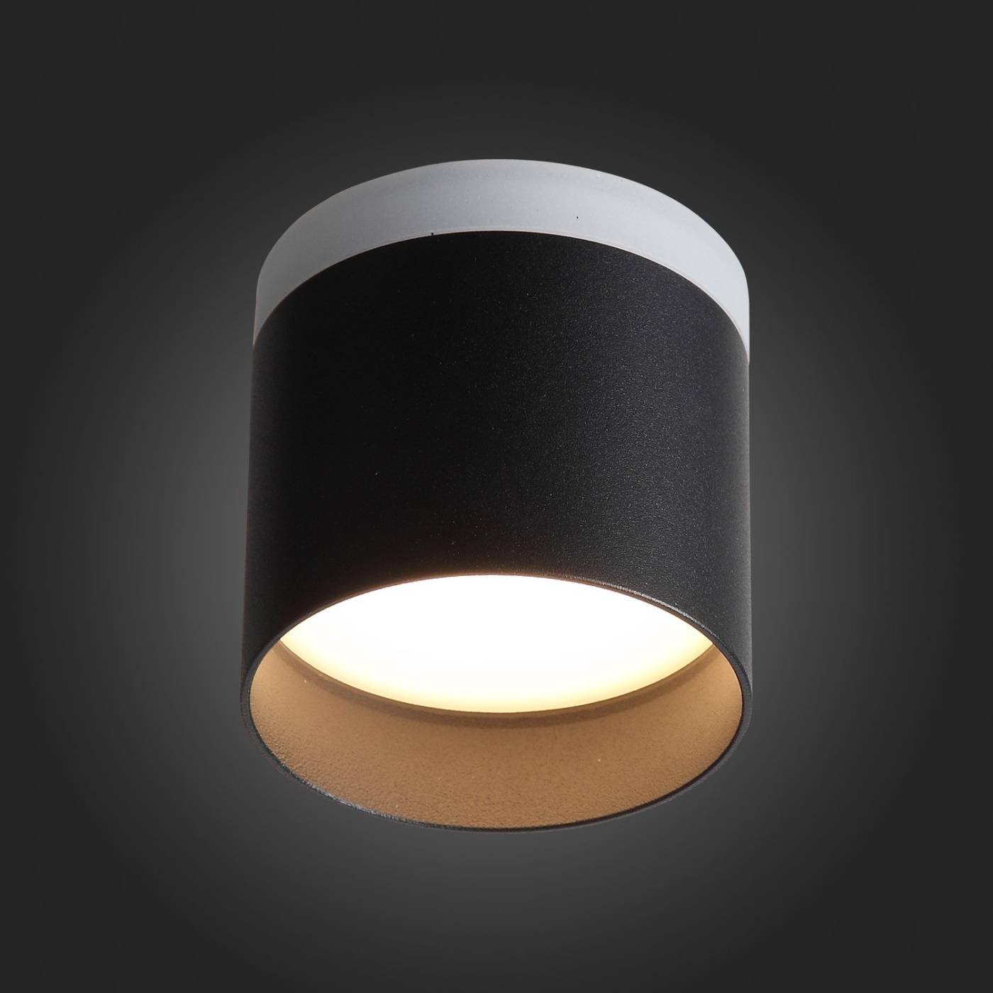 Накладной светильник ST Luce Panaggio ST102.402.09