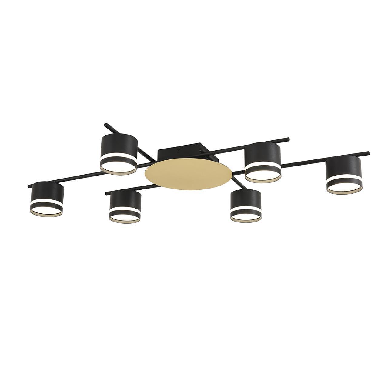 Потолочная люстра Lumion Benua 8304/6C