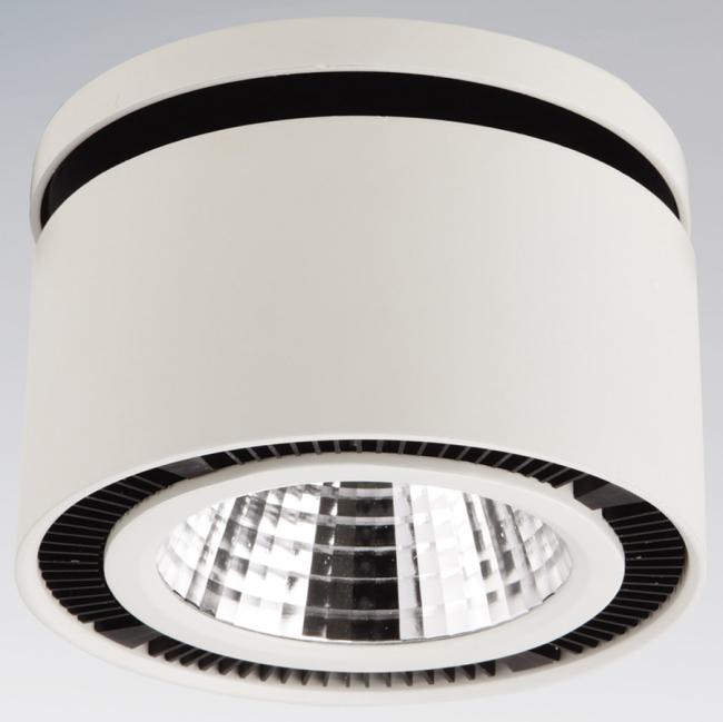 Накладной светильник Lightstar Forte Inca 214800