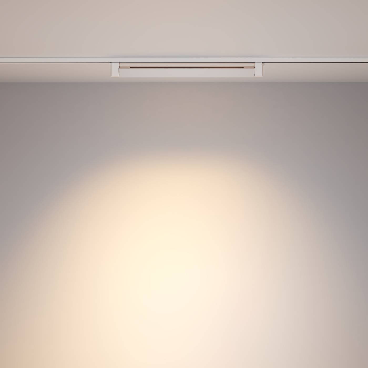 Трековый светильник Maytoni Points Rot Unity TR010-1-20W3K-M-W