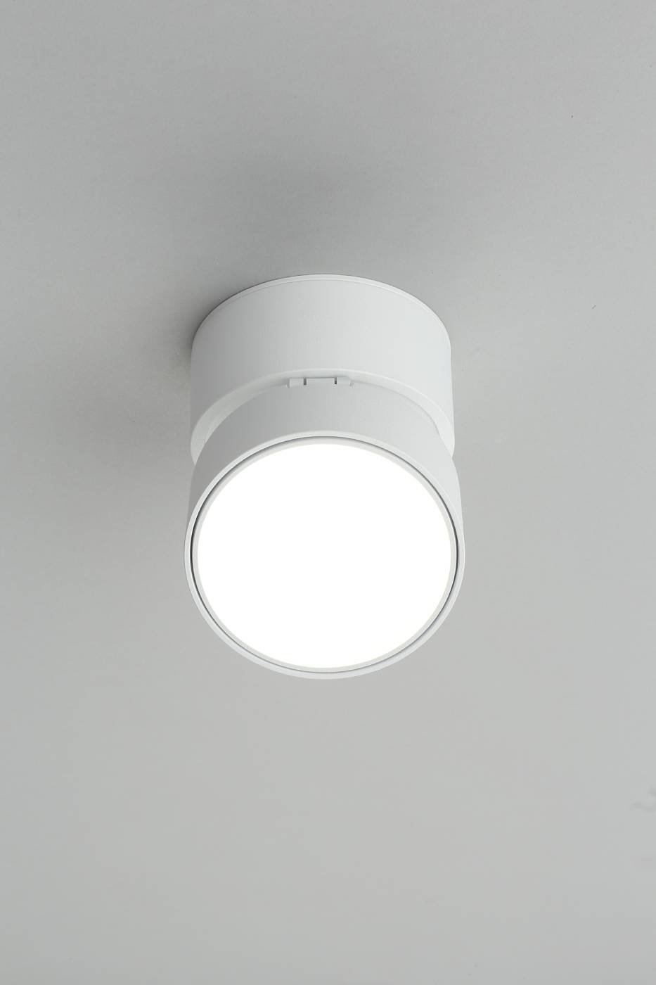 OML-101309-12 Накладной светильник Omnilux Lenno OML-101309-12