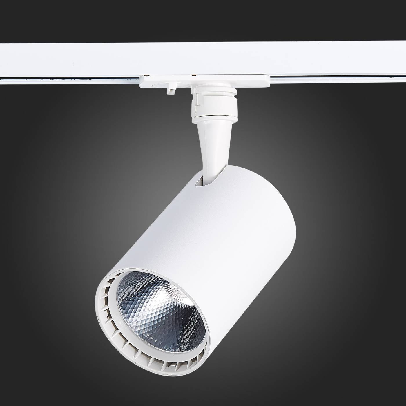 ST351.546.15.36 Трековый светильник ST Luce Cami ST351.546.15.36