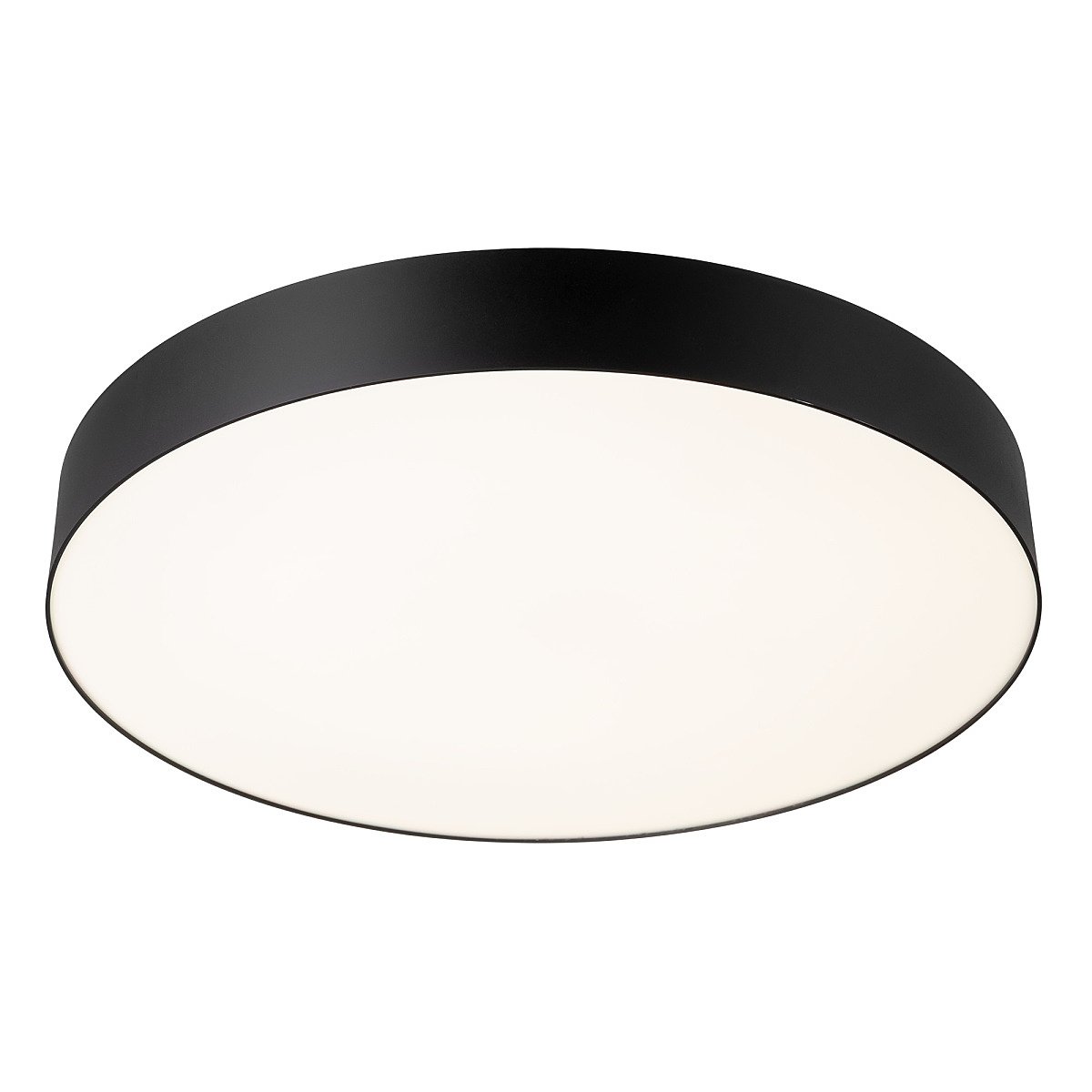 Светильник потолочный Citilux Bart CL755491