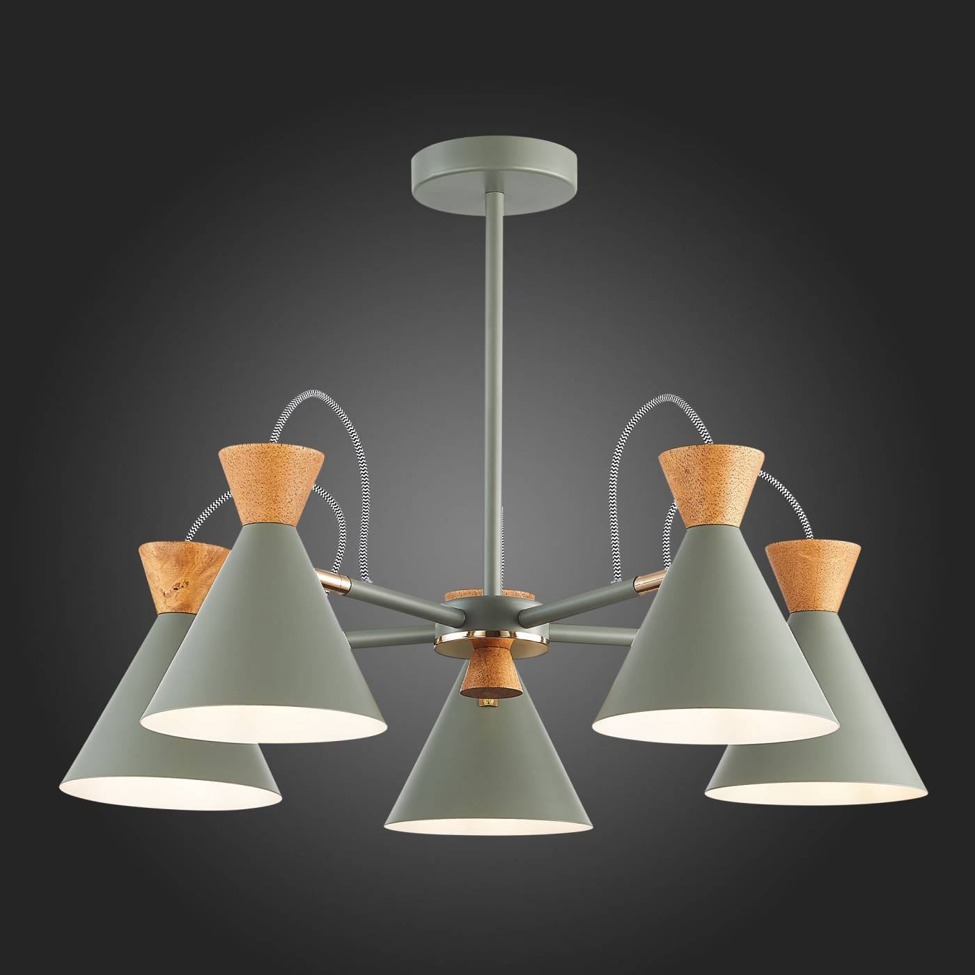 SLE125112-05 Потолочная люстра Evoluce Modica SLE125112-05