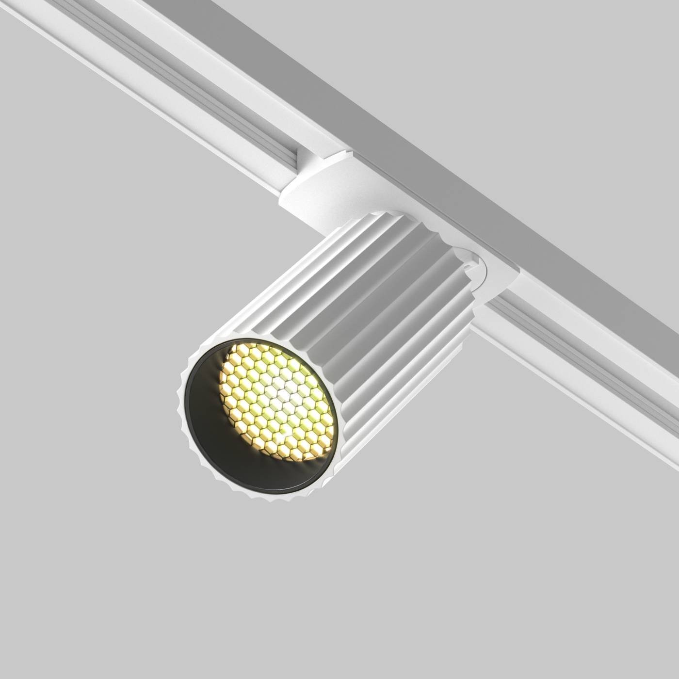 Трековый светильник Maytoni Calipso TR218-1-GU10-W