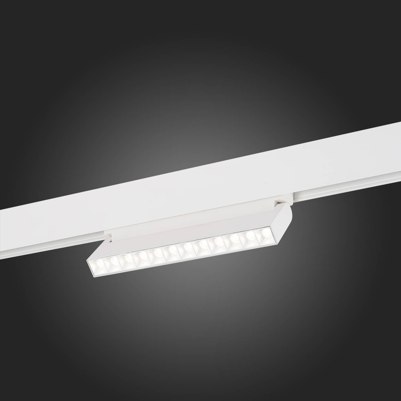 ST364.546.12 Трековый светильник ST Luce Nane ST364.546.12