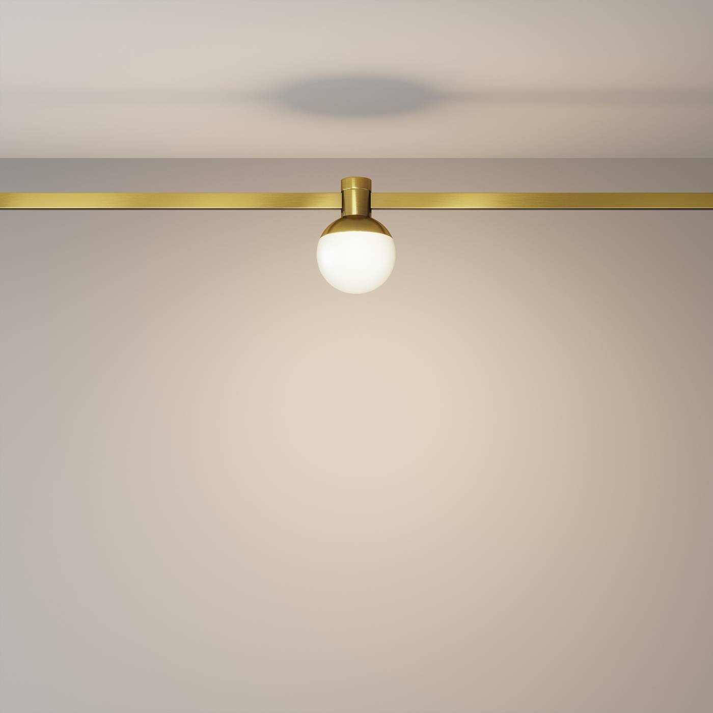 TR149-1-5W3K-BS Трековый светильник Maytoni Luna TR149-1-5W3K-BS