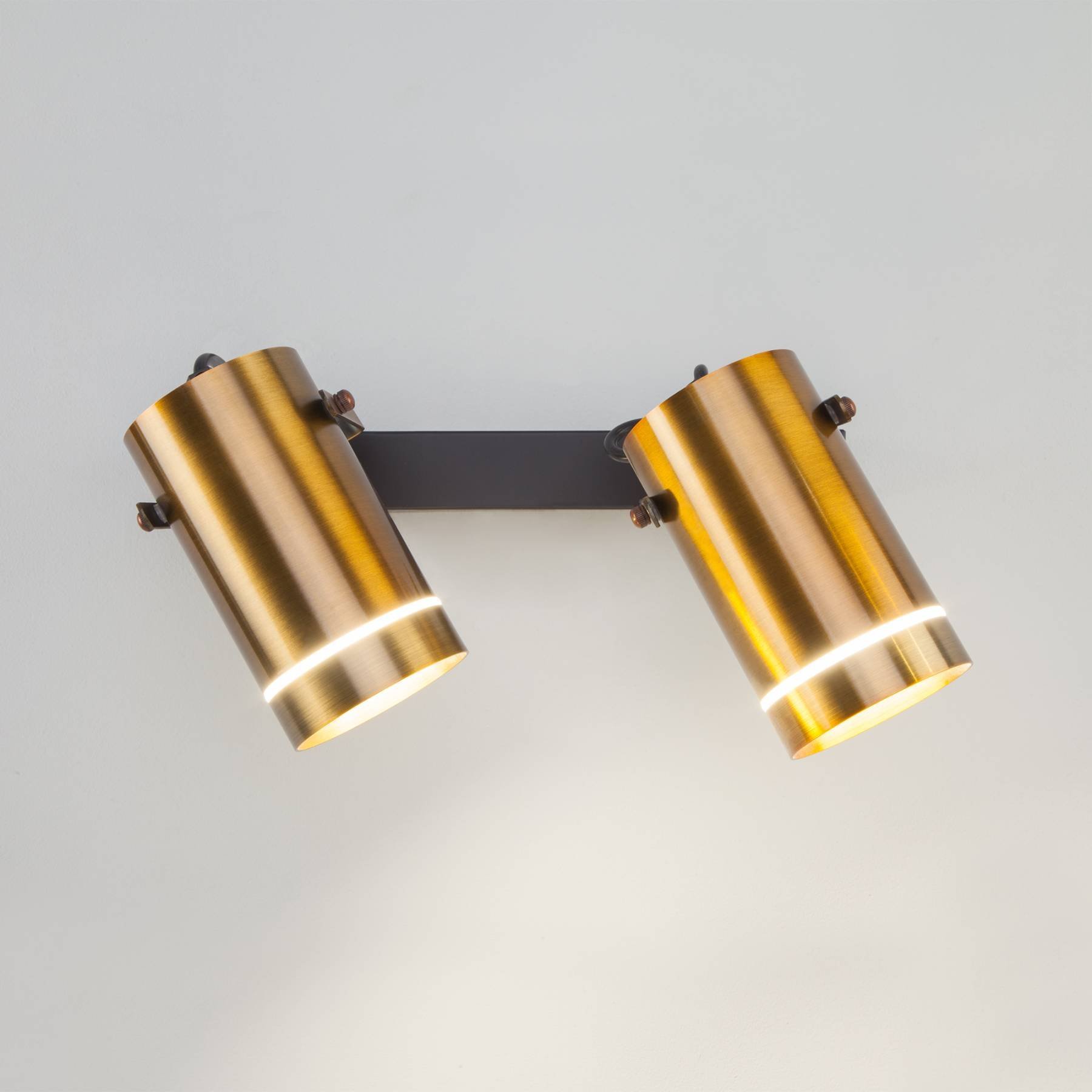 20063/2 LED античная бронза Светильник спот Eurosvet Bronze 20063/2 LED античная бронза 18W