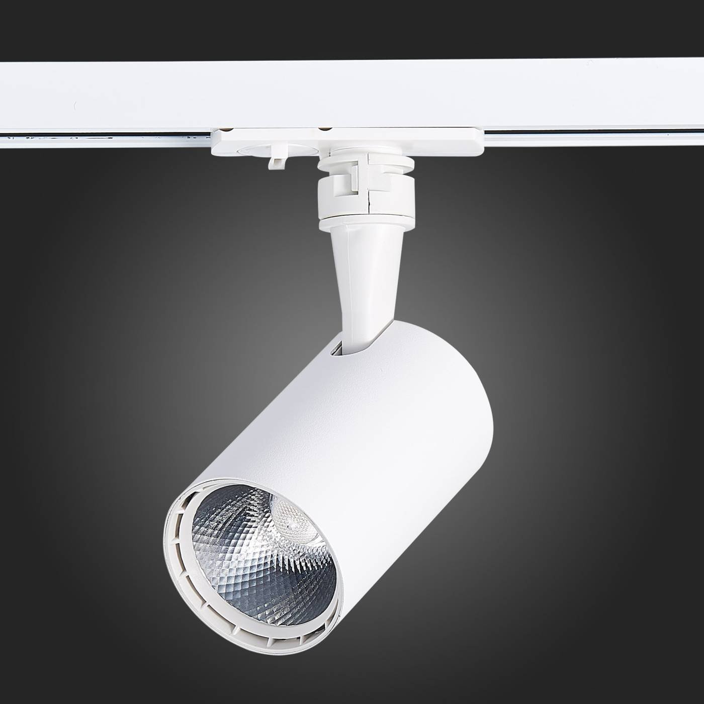 ST351.546.10.36 Трековый светильник ST Luce Cami ST351.546.10.36
