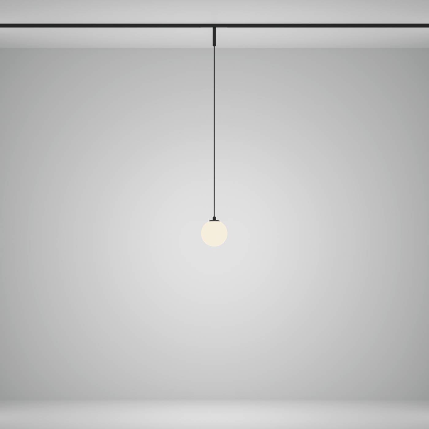 Трековый светильник Maytoni Luna TR178-1-5WTW-B