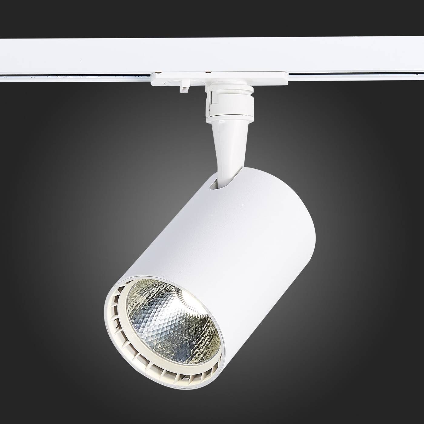 ST351.536.15.36 Трековый светильник ST Luce Cami ST351.536.15.36