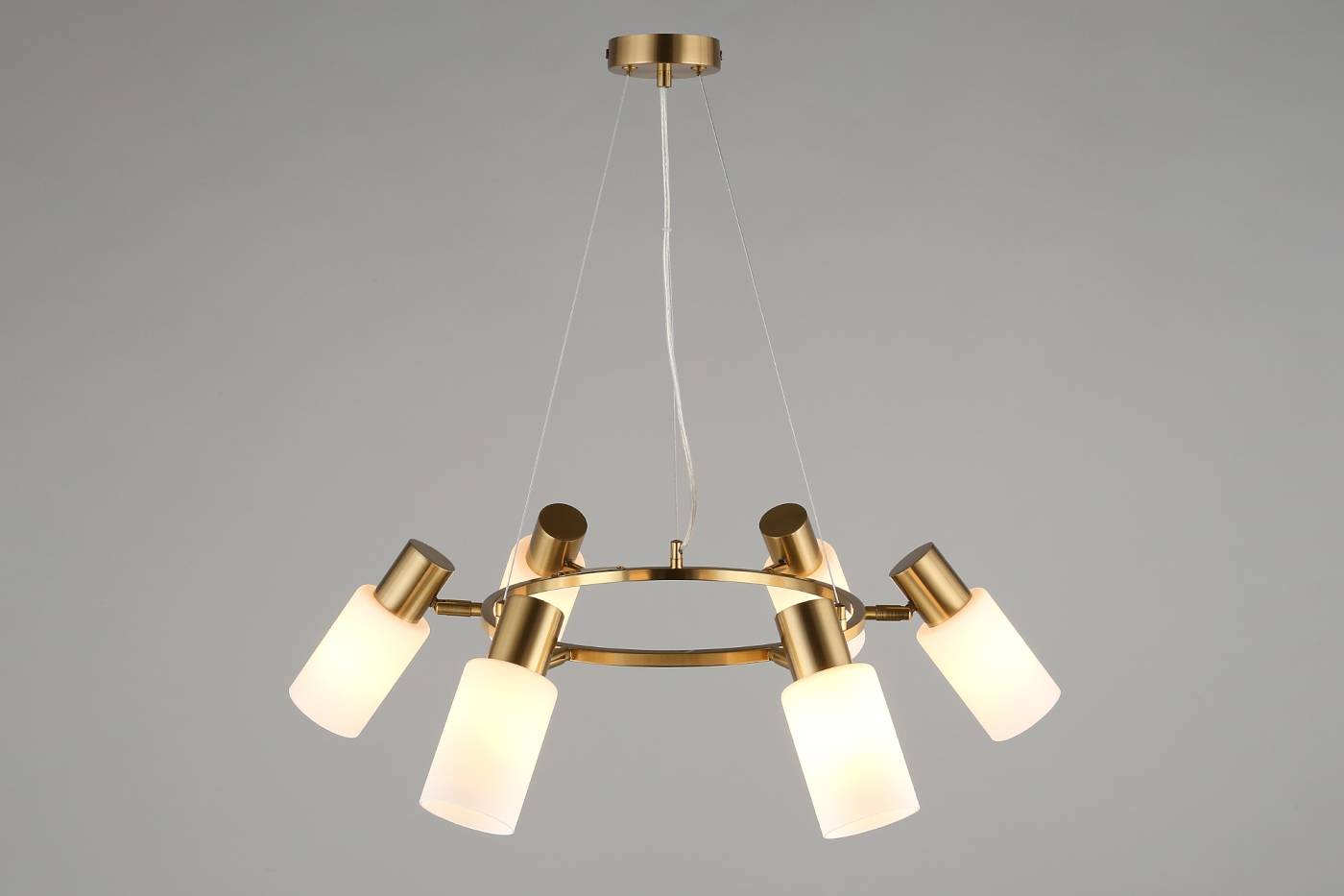 Подвесная люстра Omnilux Ales OML-69103-06