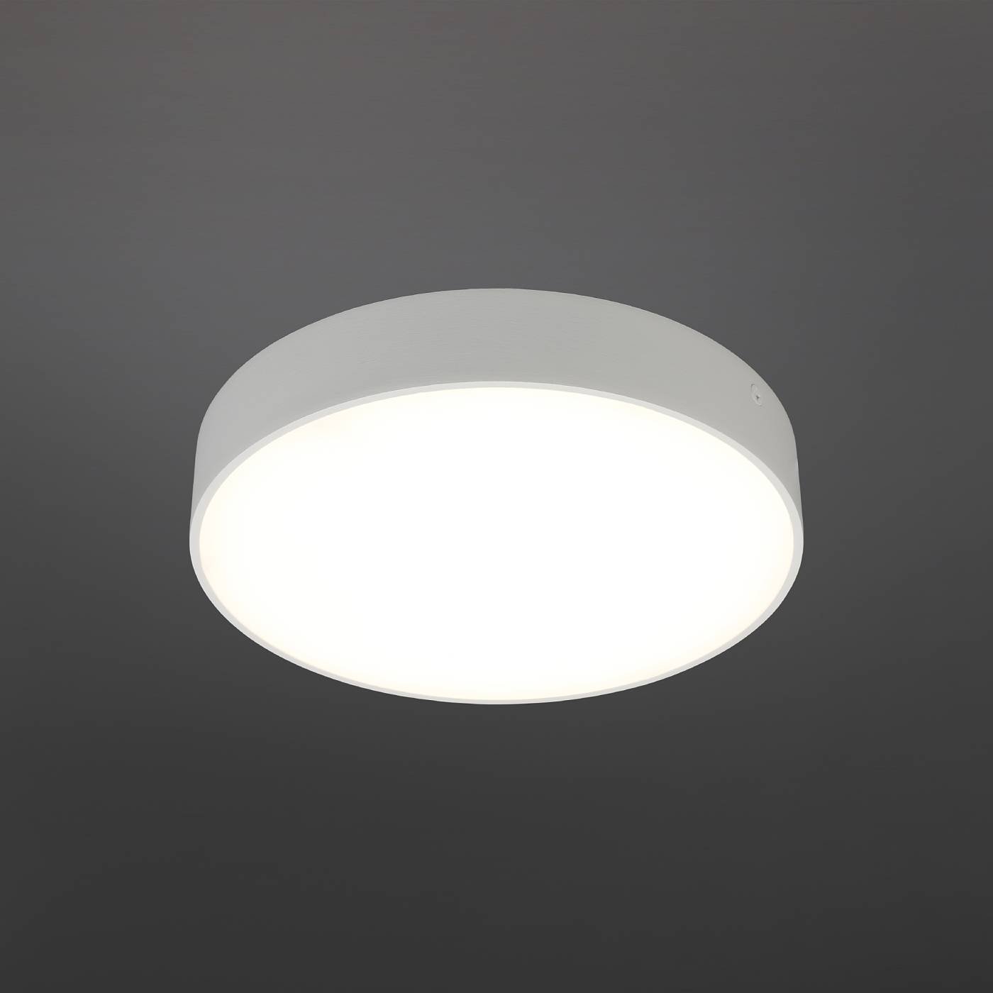 Светильник потолочный Aployt Evon APL.0114.09.24