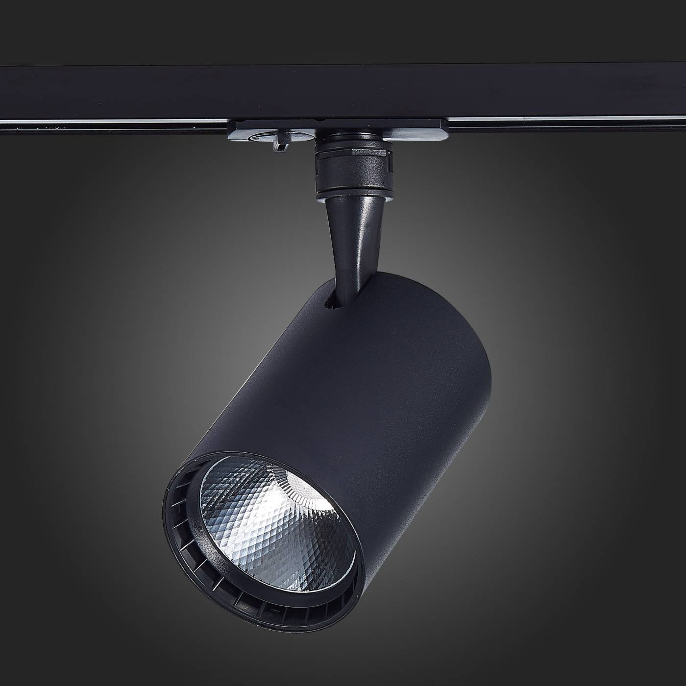 ST351.436.30.36 Трековый светильник ST Luce Cami ST351.436.30.36