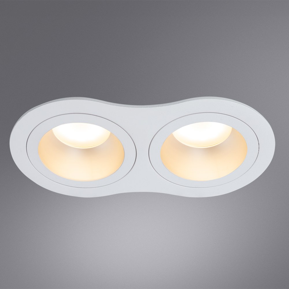 A2161PL-2WH Встраиваемый светильник Arte Lamp Alkes A2161PL-2WH