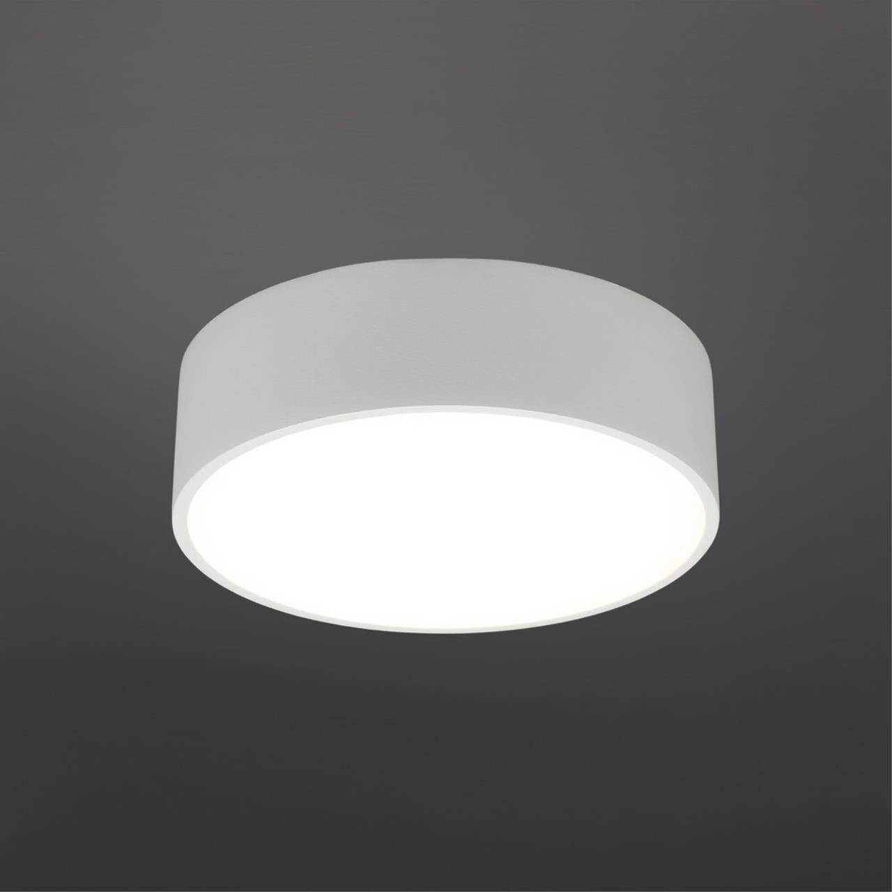 APL.0114.09.12 Светильник потолочный Aployt Evon APL.0114.09.12