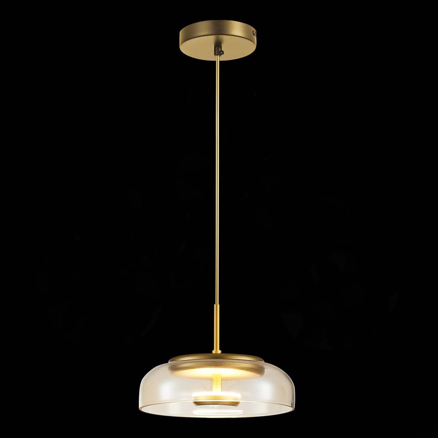 Светильник подвесной ST Luce Lazio SL6002.203.01