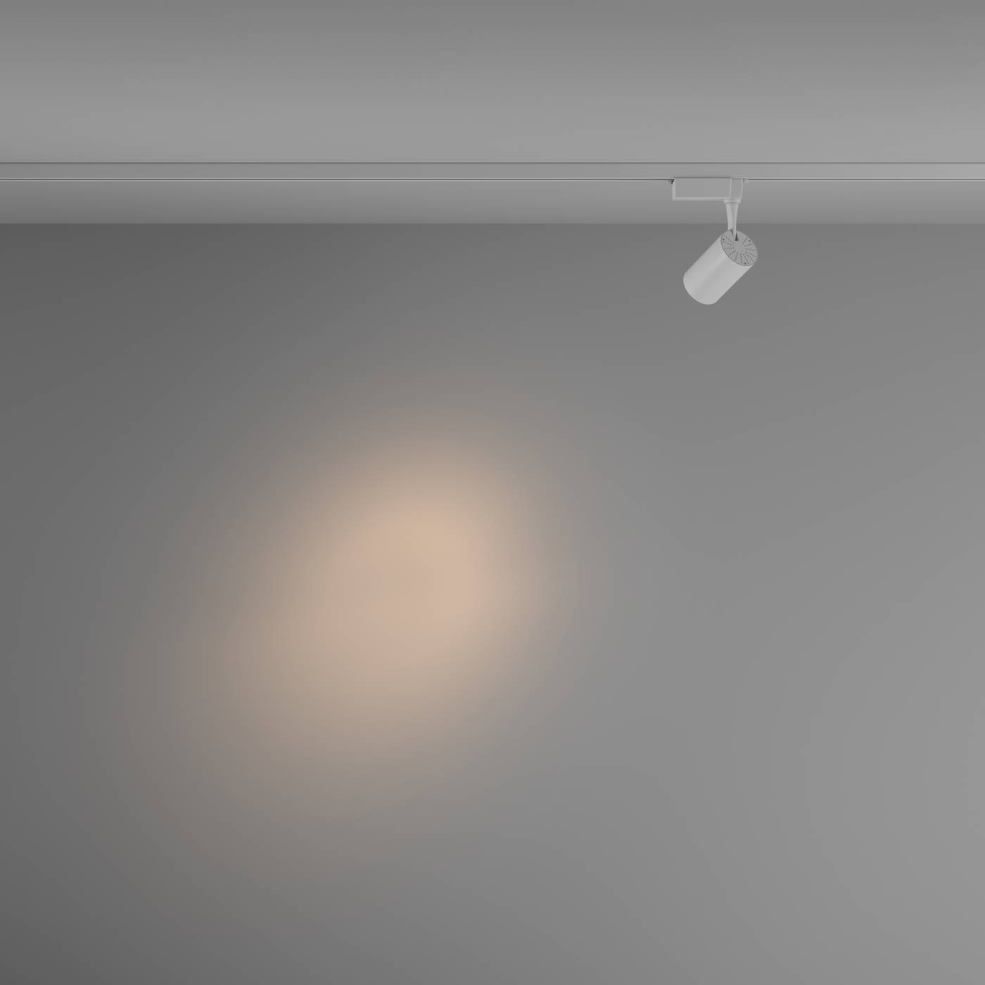 Трековый светильник Maytoni Vuoro TR003-1-6W3K-S-W