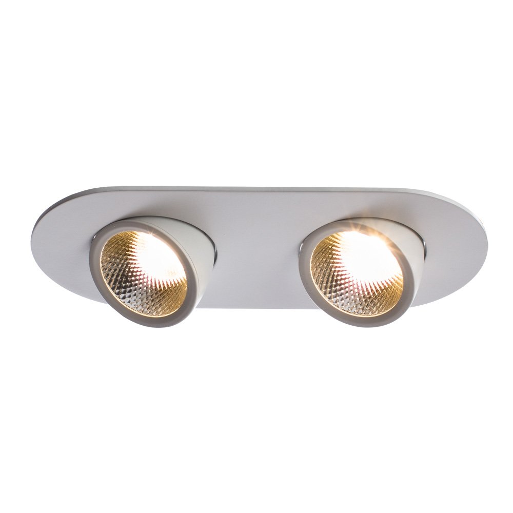 A1212PL-2WH Встраиваемый светильник Arte Lamp CARDANI A1212PL-2WH