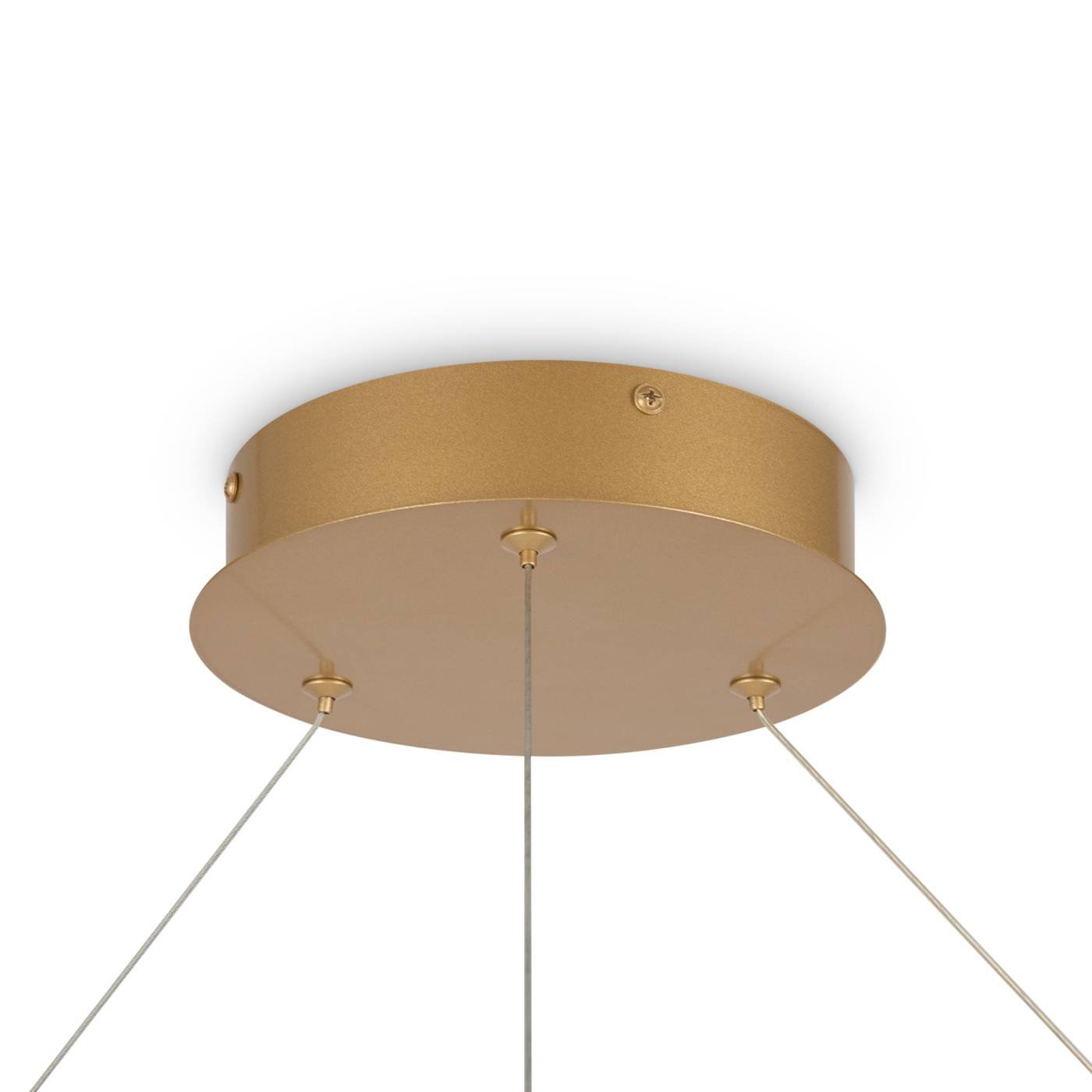 MOD058PL-L65BSK Подвесная люстра Maytoni Rim MOD058PL-L65BSK