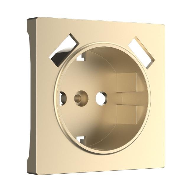 W1179511/ Накладка для розетки USB (шампань) Накладка на механизм Werkel W1179511/ Накладка для розетки USB (шампань)