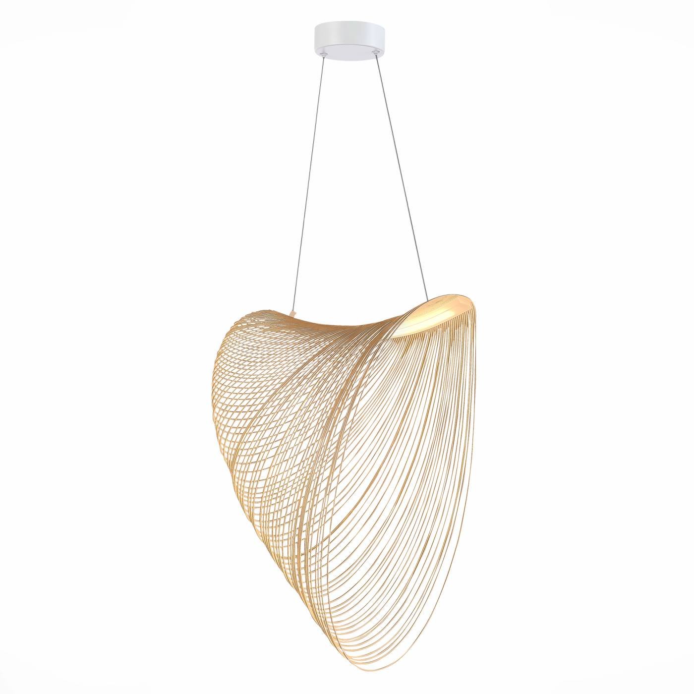 Подвесная люстра ST Luce Fossil SL6900.503.32